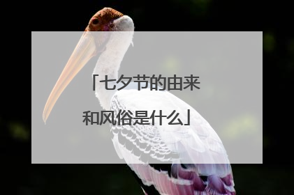 七夕节的由来和风俗是什么