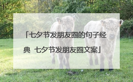 七夕节发朋友圈的句子经典 七夕节发朋友圈文案
