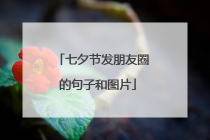 七夕节发朋友圈的句子和图片