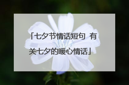 七夕节情话短句 有关七夕的暖心情话