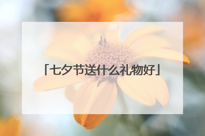 七夕节送什么礼物好