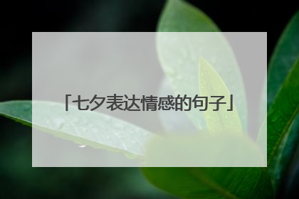 七夕表达情感的句子