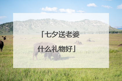 七夕送老婆什么礼物好