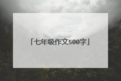 七年级作文500字