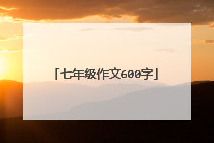 七年级作文600字