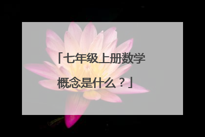 七年级上册数学概念是什么？