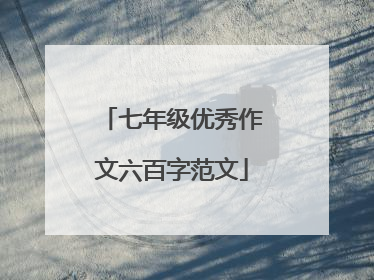 七年级优秀作文六百字范文