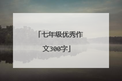 七年级优秀作文300字
