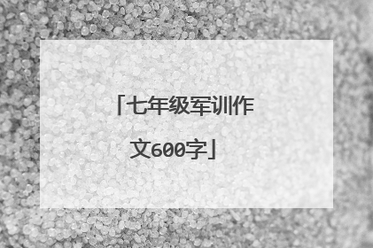 七年级军训作文600字