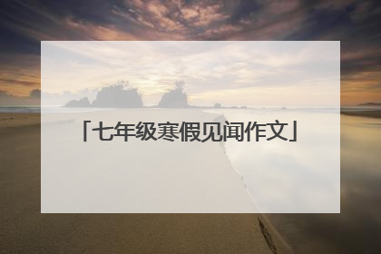 七年级寒假见闻作文