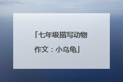 七年级描写动物作文:小乌龟