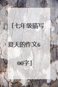 七年级描写夏天的作文600字