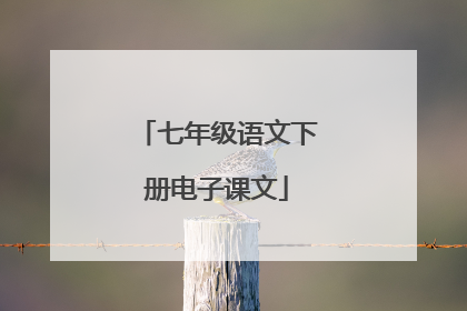 七年级语文下册电子课文