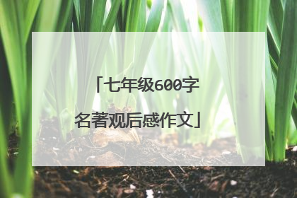 七年级600字名著观后感作文