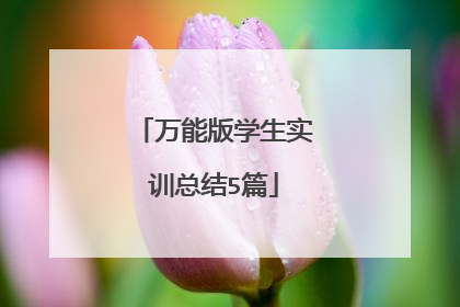 万能版学生实训总结5篇