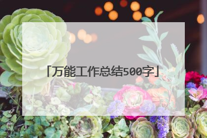 万能工作总结500字