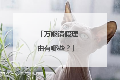 万能请假理由有哪些?