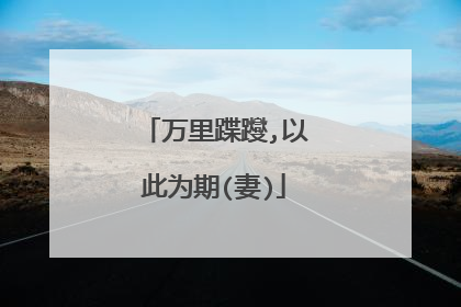 万里蹀躞,以此为期(妻)