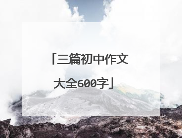 三篇初中作文大全600字