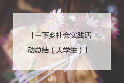 三下乡社会实践活动总结(大学生)