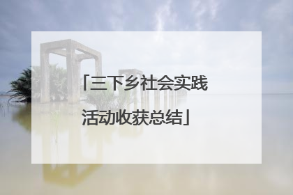 三下乡社会实践活动收获总结