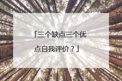 三个缺点三个优点自我评价?