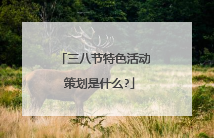 三八节特色活动策划是什么?