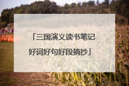 三国演义读书笔记好词好句好段摘抄