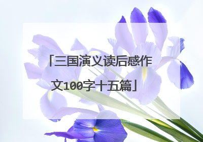 三国演义读后感作文100字十五篇