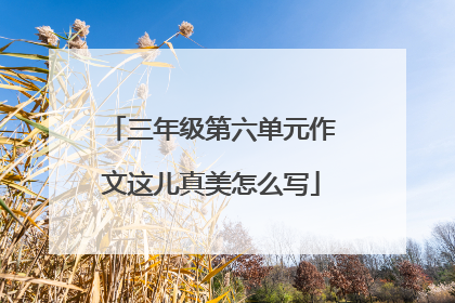 三年级第六单元作文这儿真美怎么写