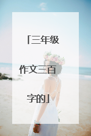 三年级作文三百字的