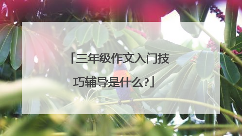 三年级作文入门技巧辅导是什么?