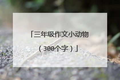 三年级作文小动物(300个字)