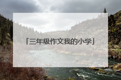 三年级作文我的小学