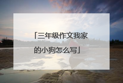 三年级作文我家的小狗怎么写