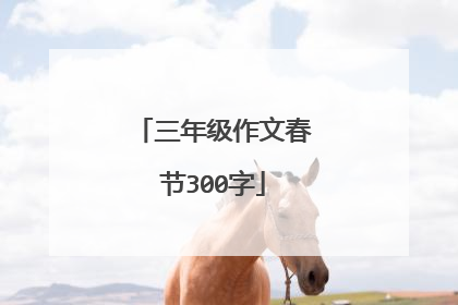 三年级作文春节300字