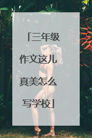 三年级作文这儿真美怎么写学校
