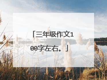 三年级作文100字左右。