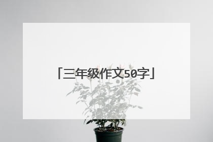 三年级作文50字