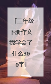 三年级下册作文我学会了什么300字
