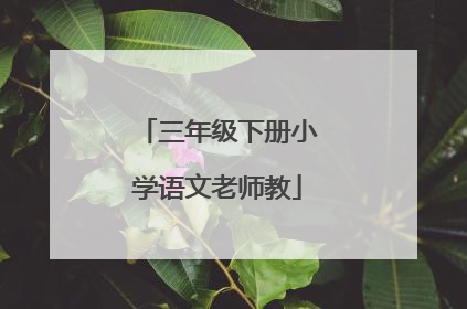 三年级下册小学语文老师教