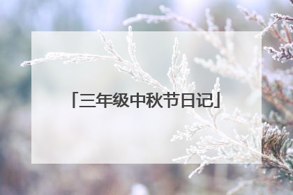三年级中秋节日记