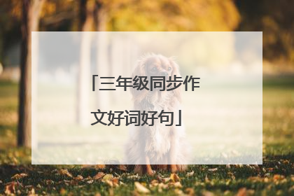 三年级同步作文好词好句