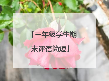 三年级学生期末评语简短