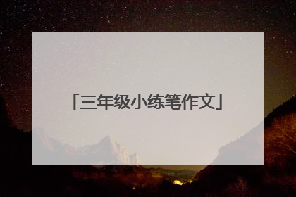 三年级小练笔作文