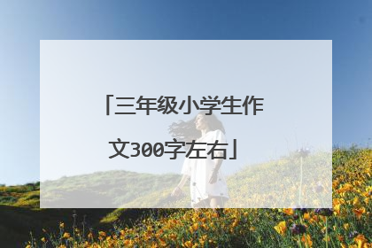 三年级小学生作文300字左右