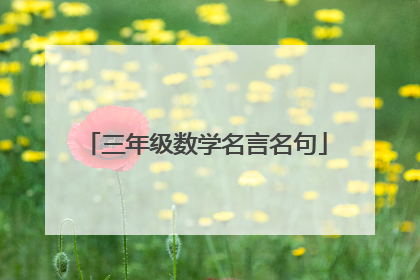 三年级数学名言名句