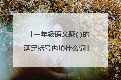 三年级语文题()的满足括号内填什么词