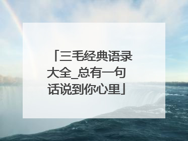 三毛经典语录大全_总有一句话说到你心里