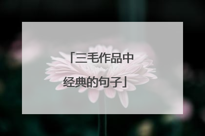 三毛作品中经典的句子